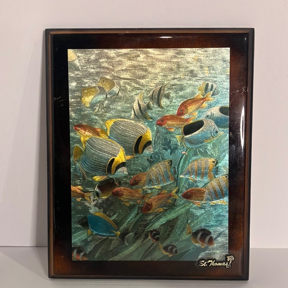 Shimmering fish picture. St. Thomas.
